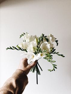 a hand holding a bouquet of white flowers