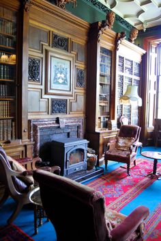 a living room filled with furniture and bookshelves next to a fire place in a library