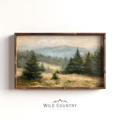 a painting hanging on the side of a wall next to a wooden framed sign that says wild country