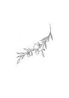 a black and white drawing of a branch with leaves