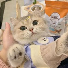 a cat that is sitting in someone's lap with its paw up to the camera