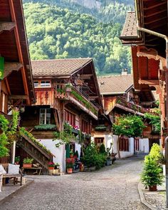 a cobblestone street lined with wooden buildings and flowers on the balconies