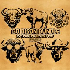 the bison bundle includes buffalos and other wild animals, such as long horn bulls