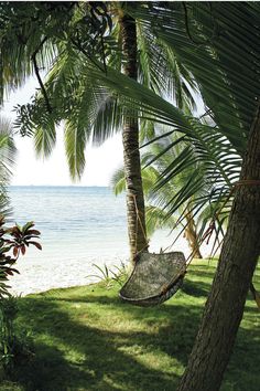 a hammock hanging between two palm trees on the beach with water in the background