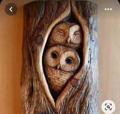 an owl figurine in a tree trunk with its eyes open and two owls peeking out