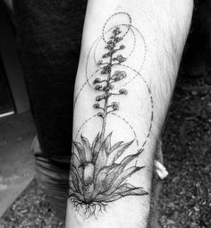 a black and white photo of a plant on the arm, with circles around it