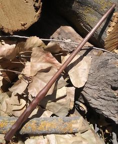 a close up of leaves and a stick on the ground with wood in the background