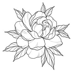 a black and white drawing of a large flower with leaves on it's petals