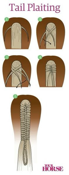 how to tie a horse's tail for the head and neck, step - by - step instructions