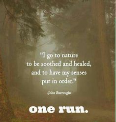 a quote from john burroughs about nature