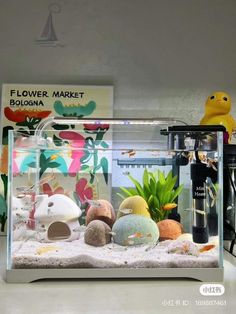 a fish tank filled with lots of different types of rocks and plants in front of a sign that says flower market