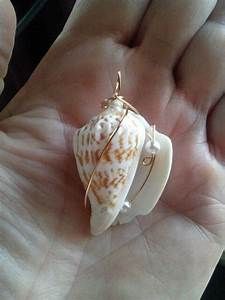 there is a small shell in the palm of someone's hand