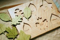 some leaves are laying on top of a cutting board