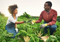 This is a healthy one. Full length shot of a young farm couple working the fields. stock photo Farm Couple, Profitable Small Business Ideas, Starting Small Business, Tourism Industry, Sustainable Farming, Health Business, Sustainable Garden, Niche Marketing, Craft Brewery