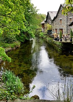 a river running through a lush green forest filled with lots of trees next to tall buildings