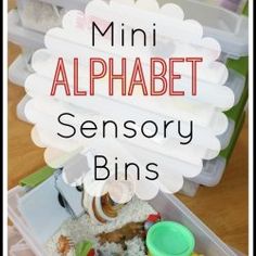 a bin filled with lots of different types of toys and words that read mini alphabet sensory bins