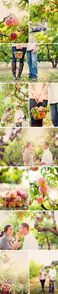 several different pictures of people in the woods with trees and grass, one is holding an umbrella