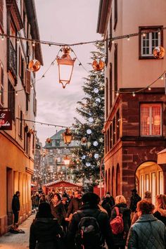 people walking down an alley way with christmas lights on the trees