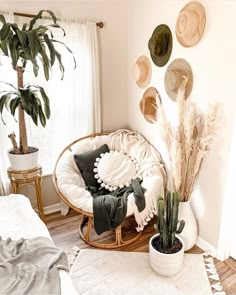 a room with some plants and plates on the wall