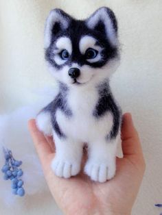 a small husky dog sitting on top of a bed of blue flowers next to it's head