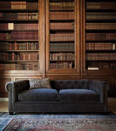 a couch sitting in front of a bookshelf filled with lots of bookcases