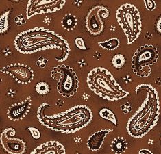 a brown and white paisley print fabric with lots of different designs on it's sides