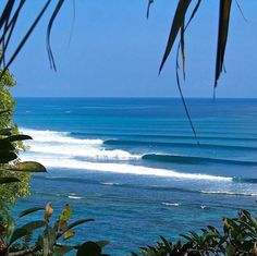 a view of the ocean from behind some trees and bushes, with one person surfing in the distance