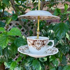 a tea cup hanging from a bird feeder