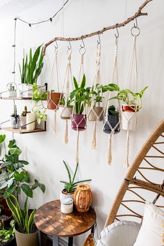 several hanging plants and potted plants are on display in the corner of a room