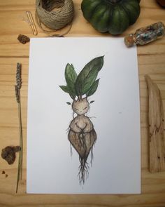 a drawing of a leafy plant with roots and leaves on it's head