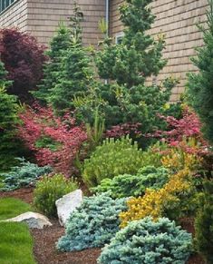 a garden filled with lots of different types of trees and shrubs in front of a building