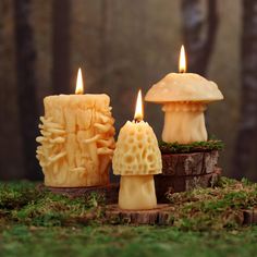 three candles with mushrooms on them sitting in the grass next to some moss and trees