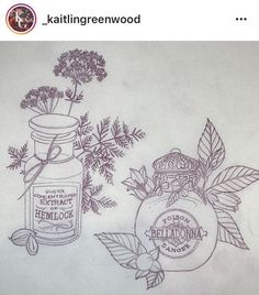 a drawing of two jars with flowers and leaves on them, one has an empty bottle