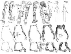 some drawings of different types of legs and arms, all with the same arm parts