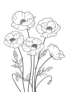 some flowers that are in the middle of a line art drawing style, with black and white