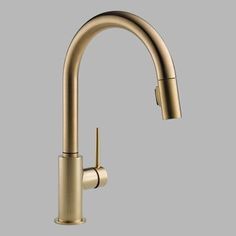 a brass colored kitchen faucet with an angled spout and pull out sprayer