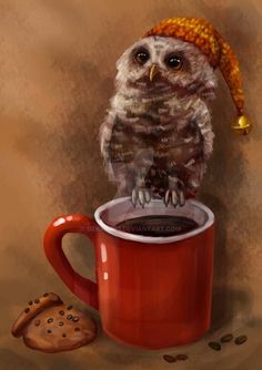 an owl sitting on top of a cup of coffee