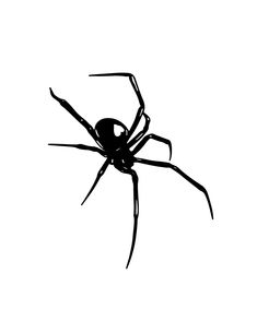 a black and white image of a spider