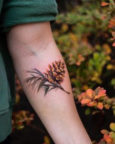 a pine cone tattoo on the arm