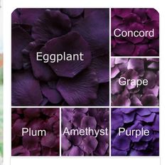 different shades of purple flowers with the words eggplant, grape, plum, and amethyst purple