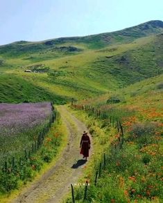 a person walking down a dirt road in the middle of a field with wildflowers