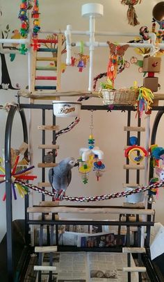 a bird sitting on top of a wooden perch next to a magazine rack filled with toys