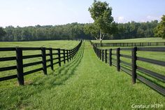 a row of black fences in the middle of a grassy field