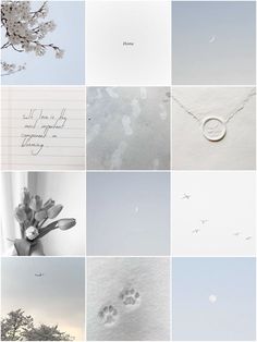 a collage of photos with white flowers and birds in the sky, trees and clouds