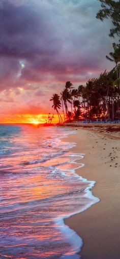 the sun is setting over the ocean with palm trees in the foreground and waves on the beach