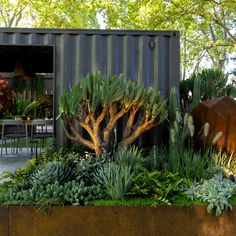 an outdoor garden with plants and trees in front of a shipping container that is open