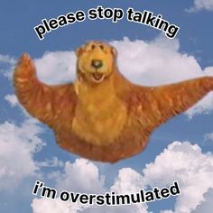 a bear flying through the air with clouds in the background and caption that reads, please stop talking i'm overstinulated