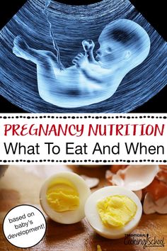 an egg shell with the words pregancy nutrition what to eat and when