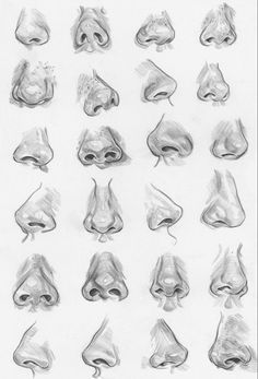 a drawing of different types of nose shapes