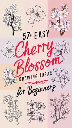 cherry blossom drawing ideas for beginners with the title, 5 easy cherry blossom drawing ideas